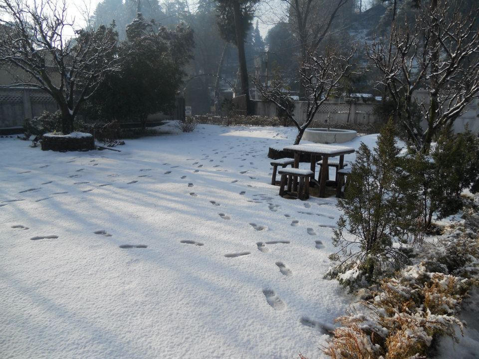 Rewa Retreat Ξενοδοχείο Nainital Εξωτερικό φωτογραφία